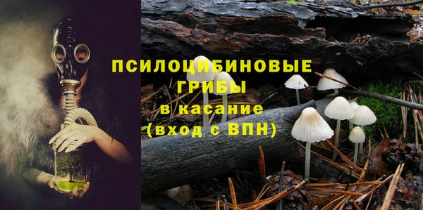 дурь Алексеевка