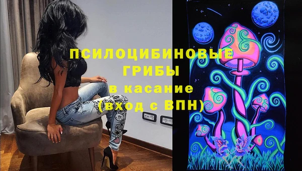 дурь Алексеевка